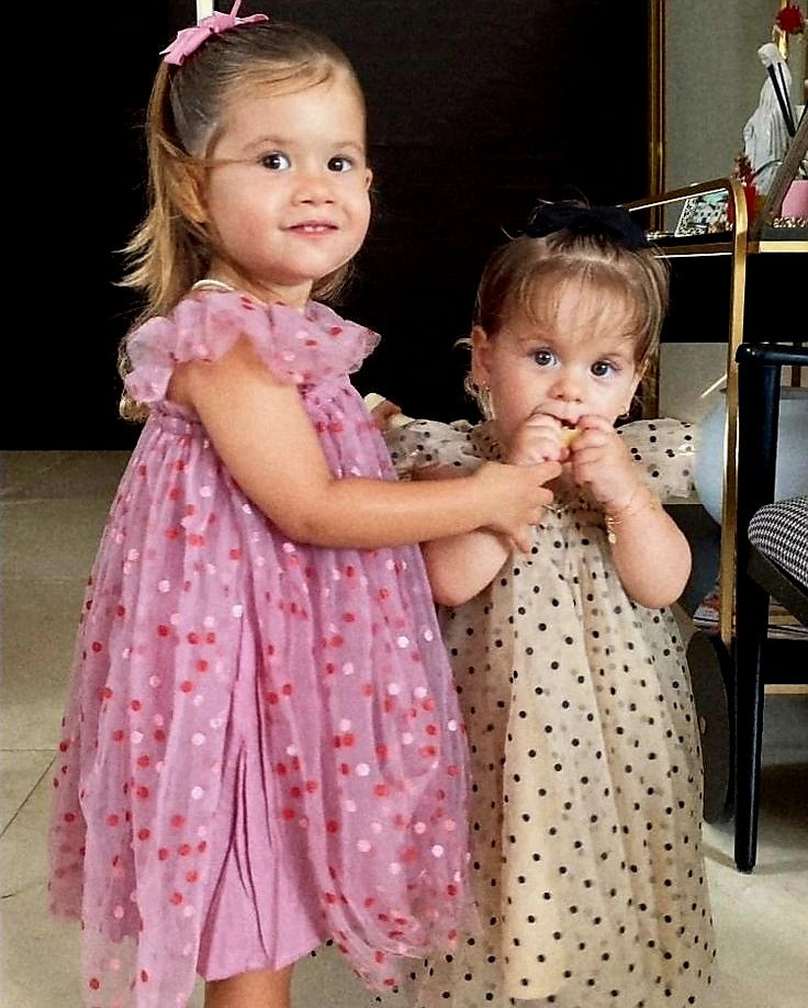 Polka Butterfly Plum Tulle Dress