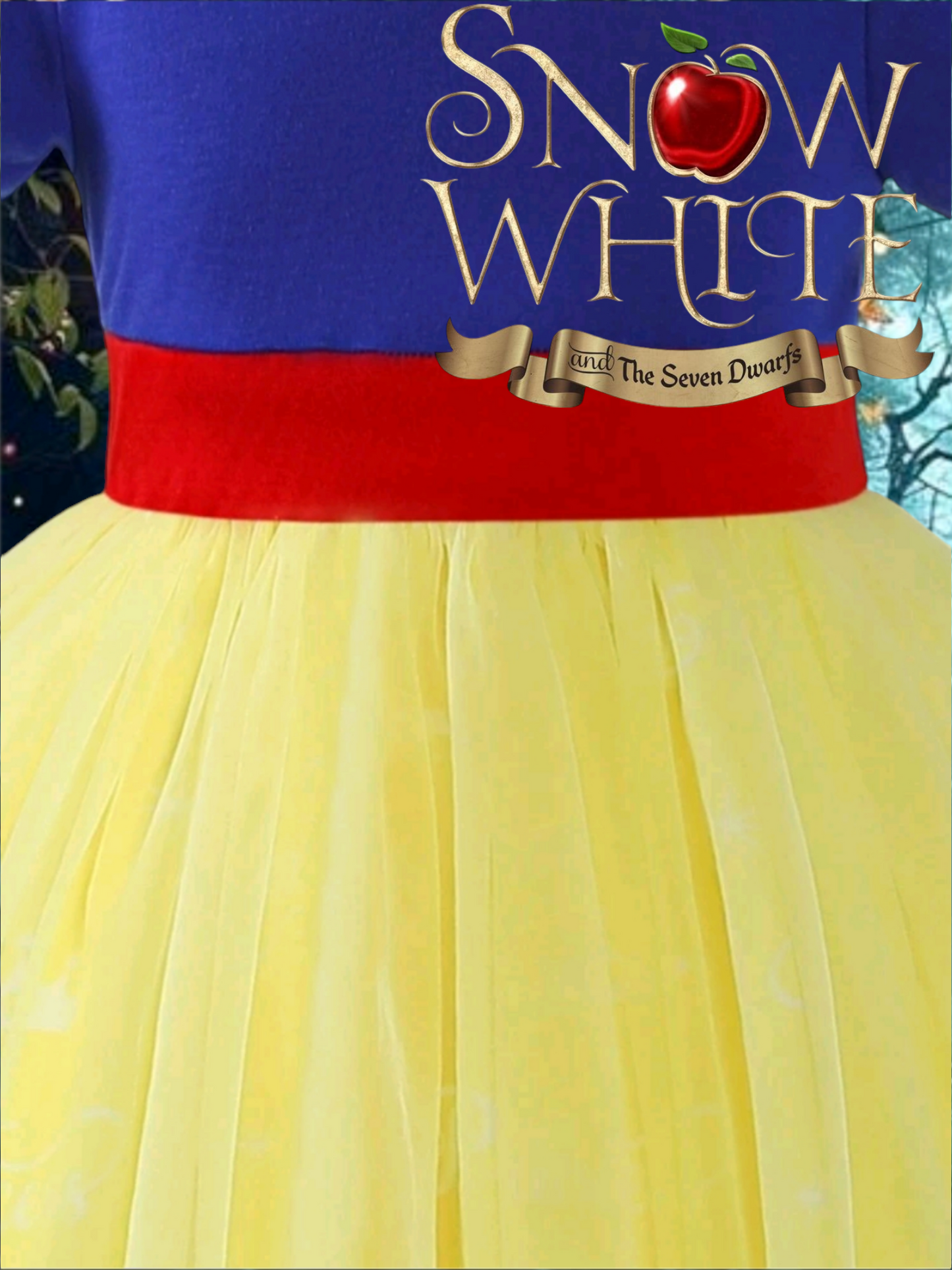 Princess Dress