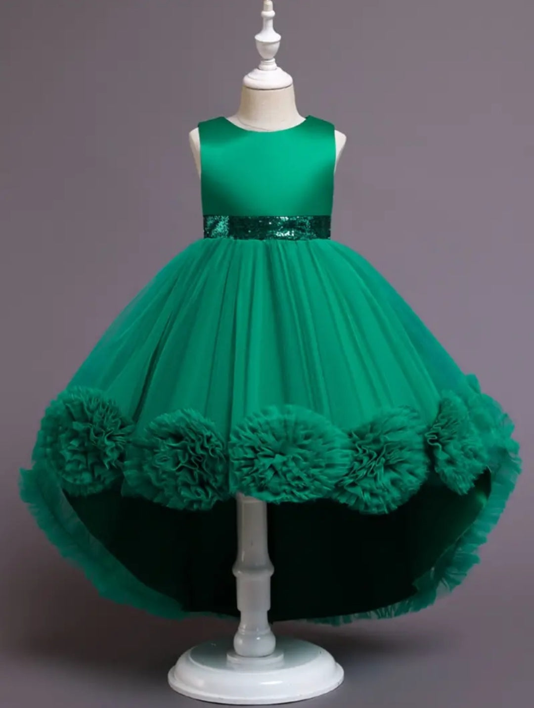 Forest Green Special Occasions Ball Cown 1000100