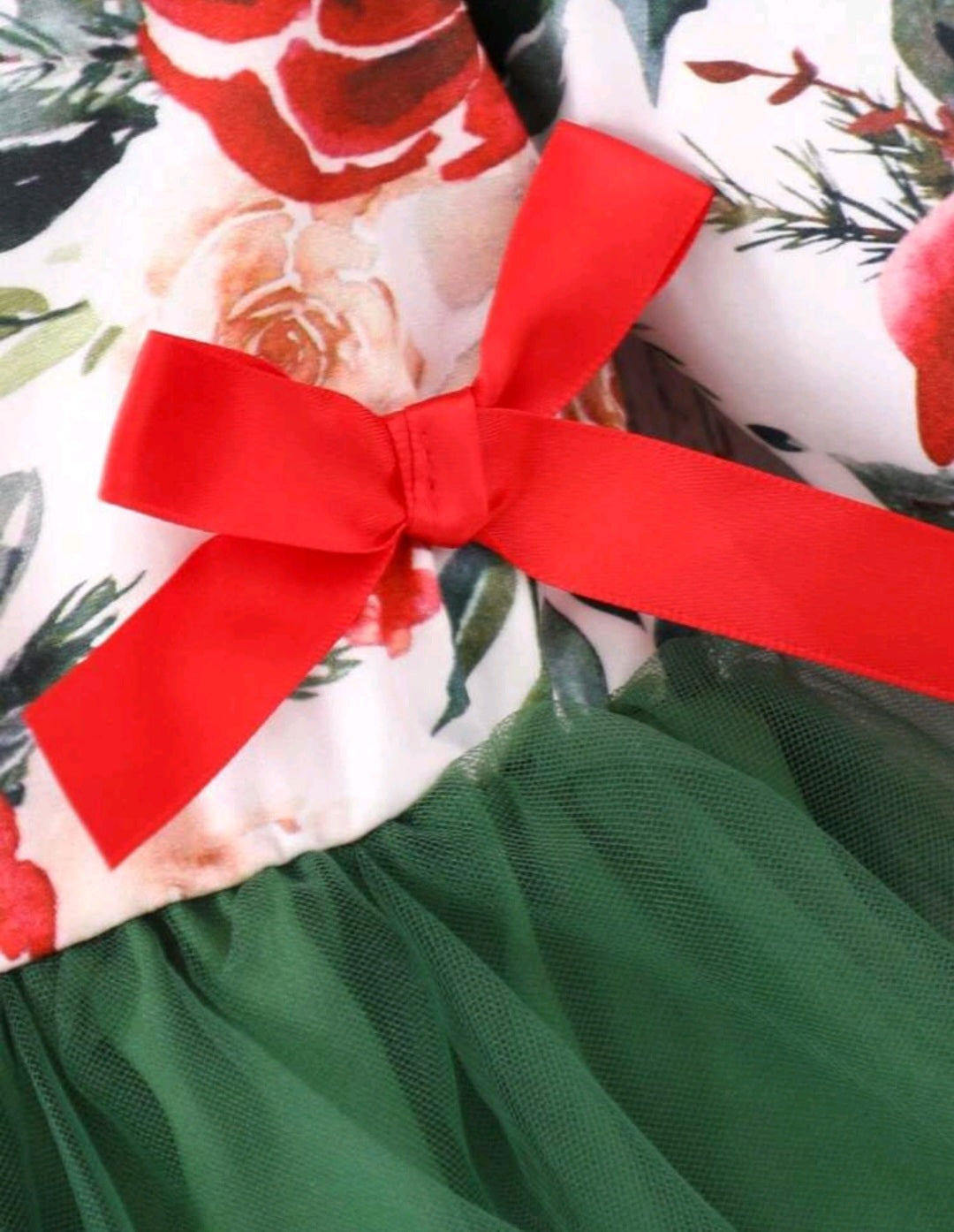 Christmas Dress