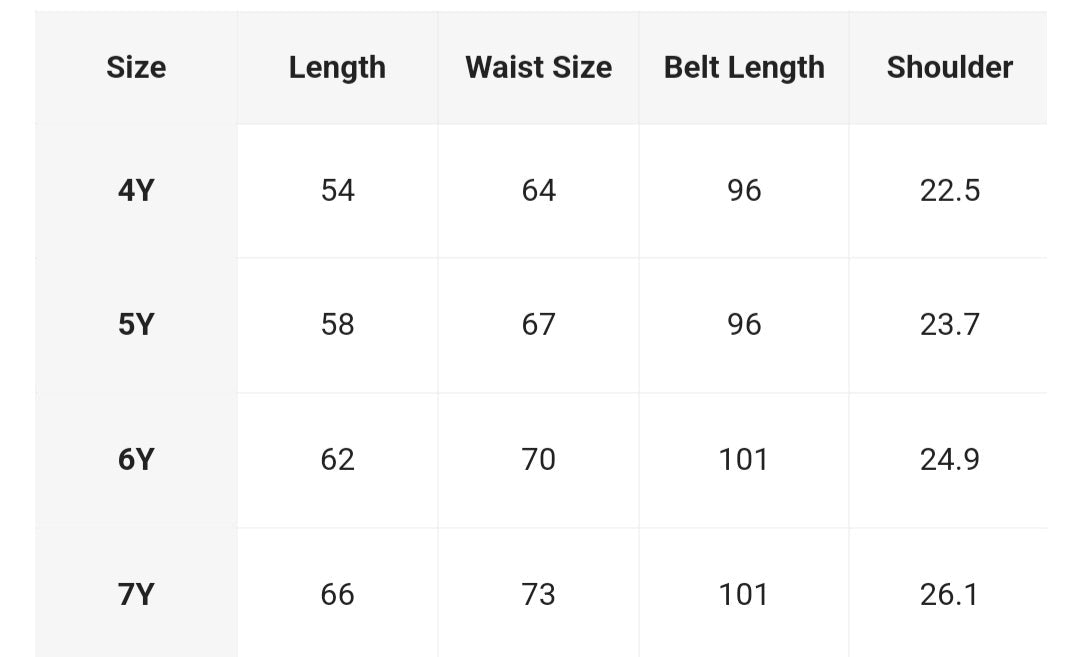 Pink Floral Dress and Belt 1000911