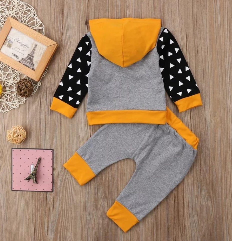 Lion Hoodie and Pants 20004