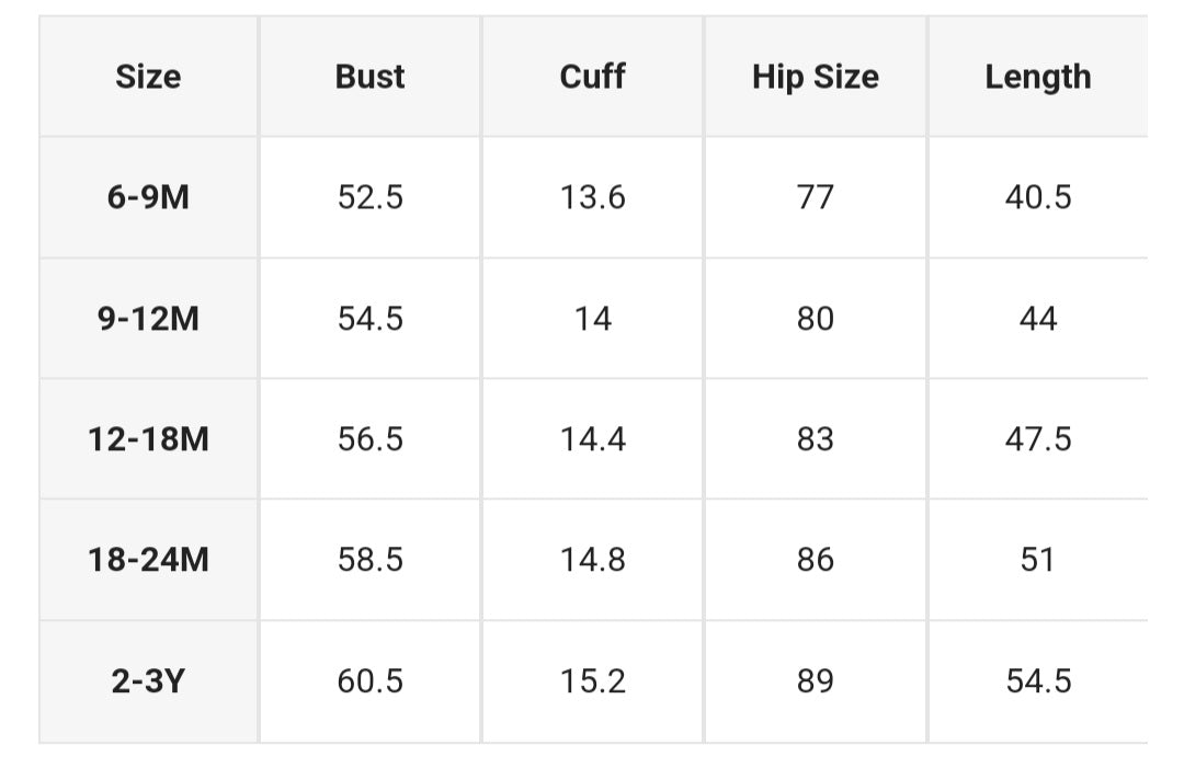 Leopard Print Long Sleeve Dress 1001097