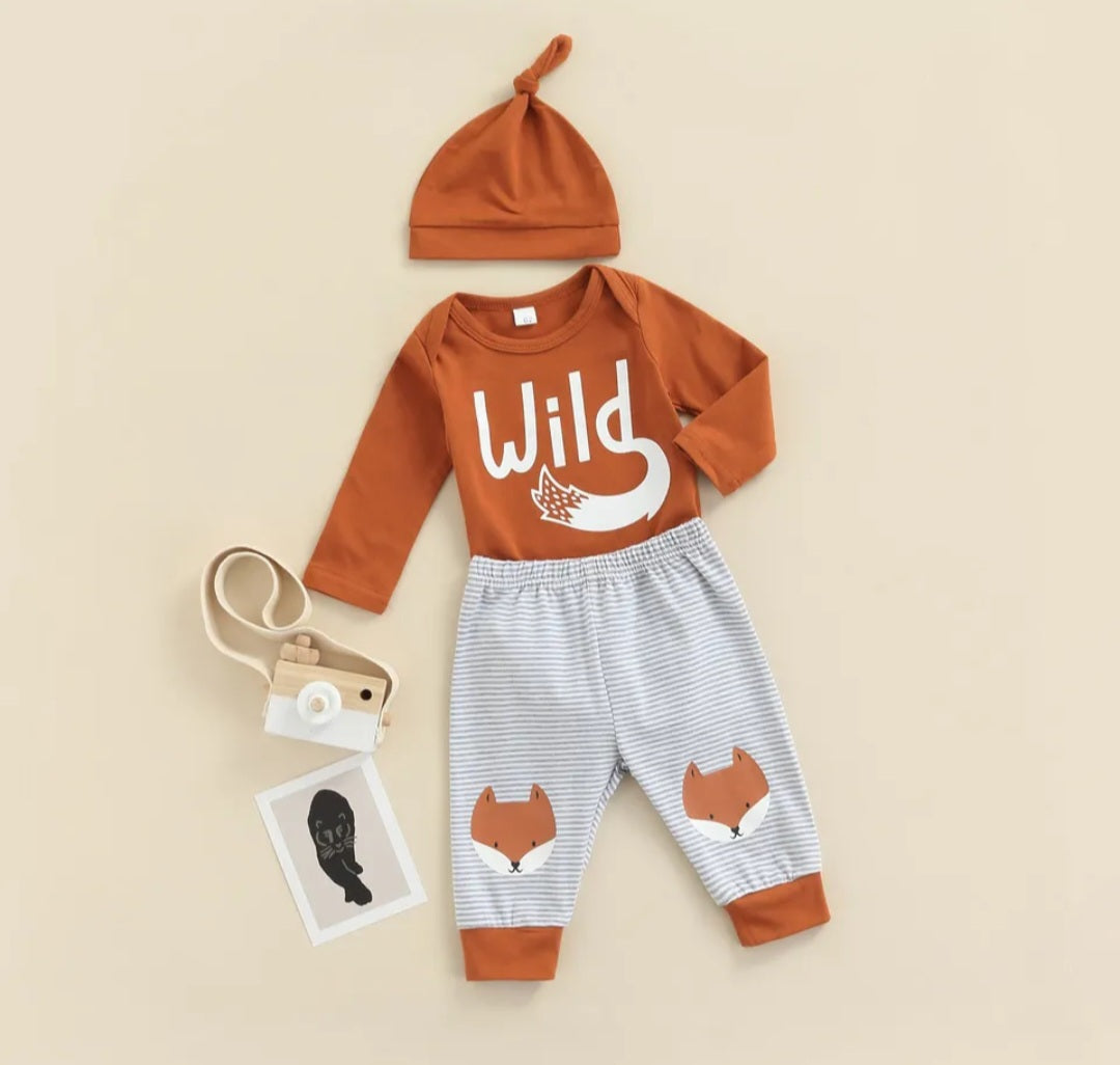 Wild Romper With FoxPants and Pumpkin Hat
