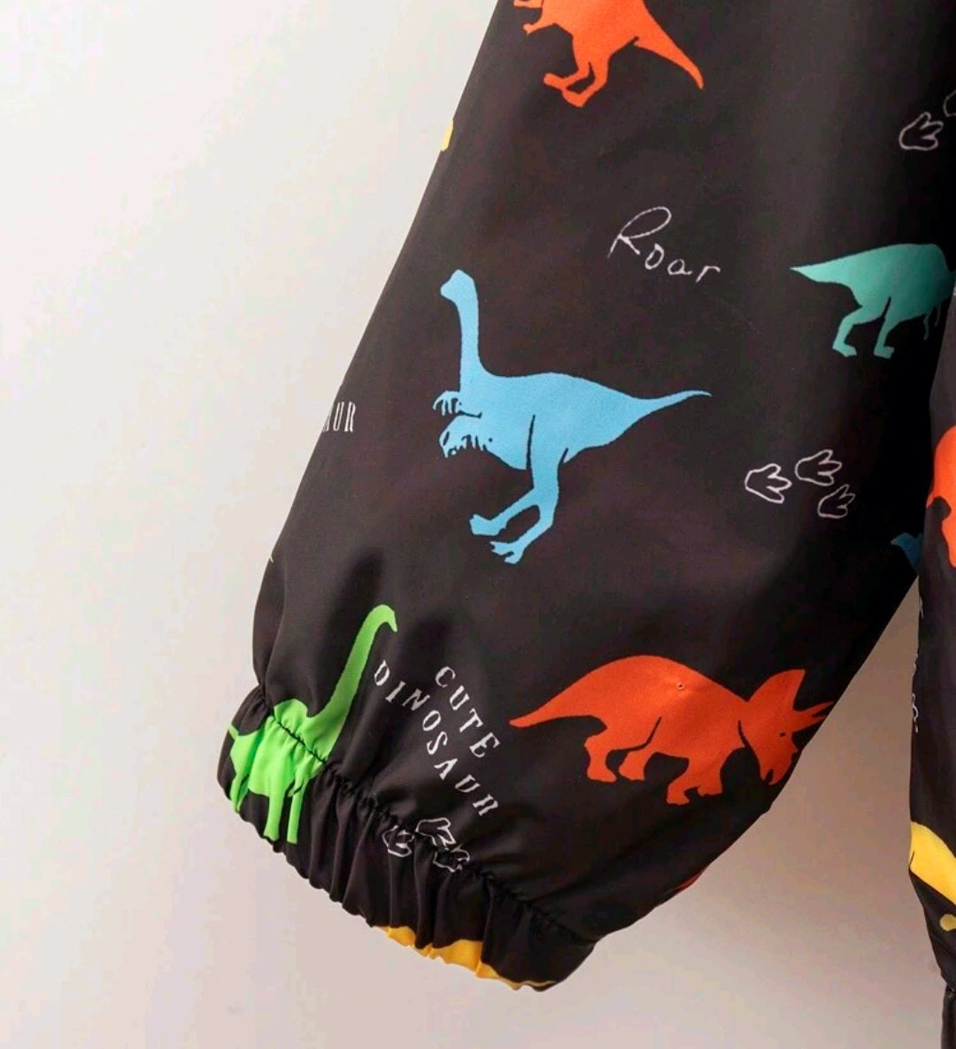 Dinosaur Windbreaker Black