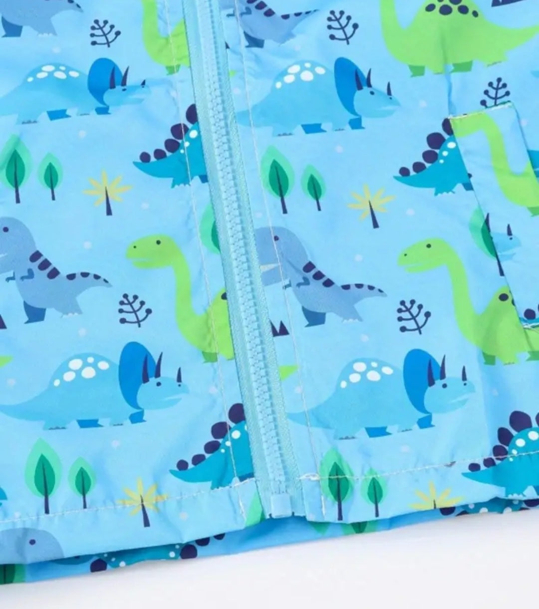 Blue Dinosaur Hooded Windbreaker