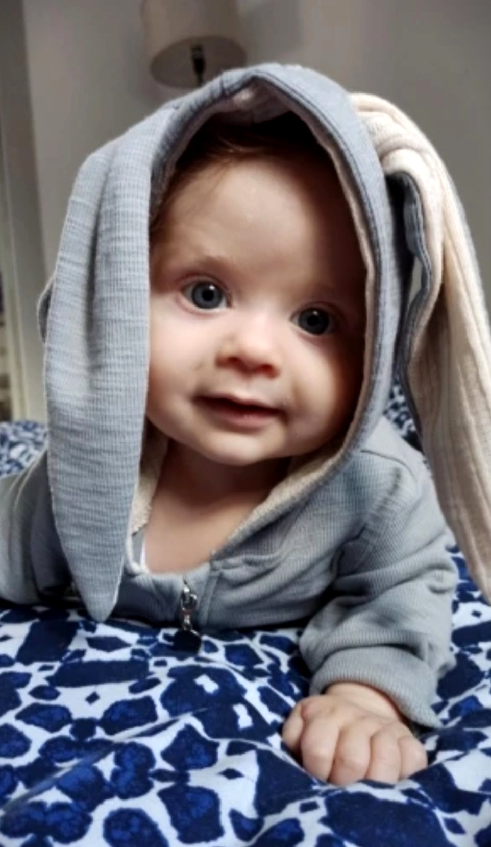 Gray Ribbed Bunny Onsie