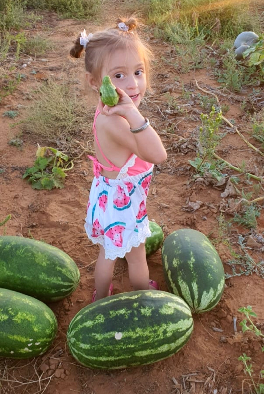 Watermelon Boho