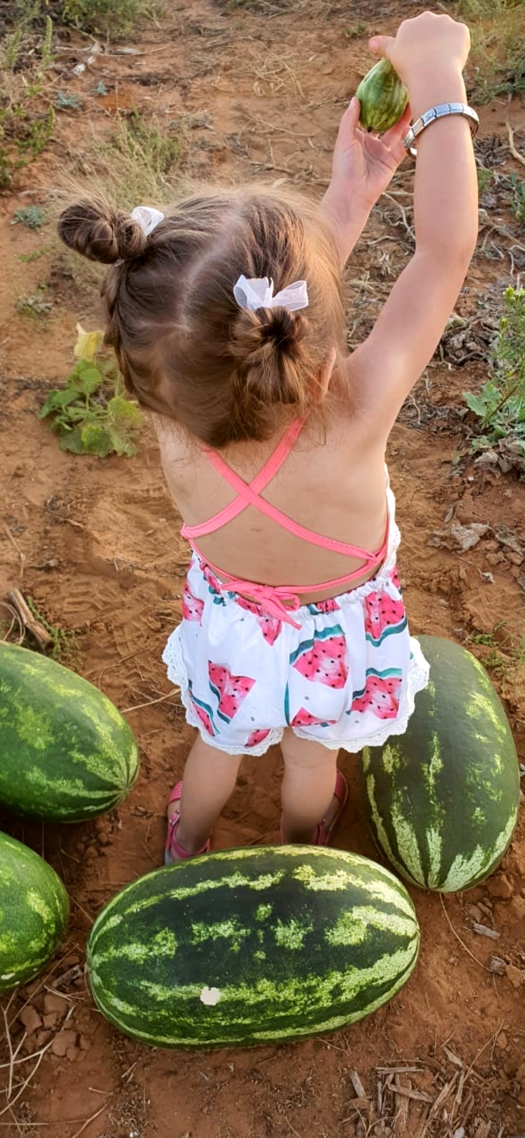 Watermelon Boho