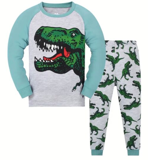Green Dinosaur pajama set