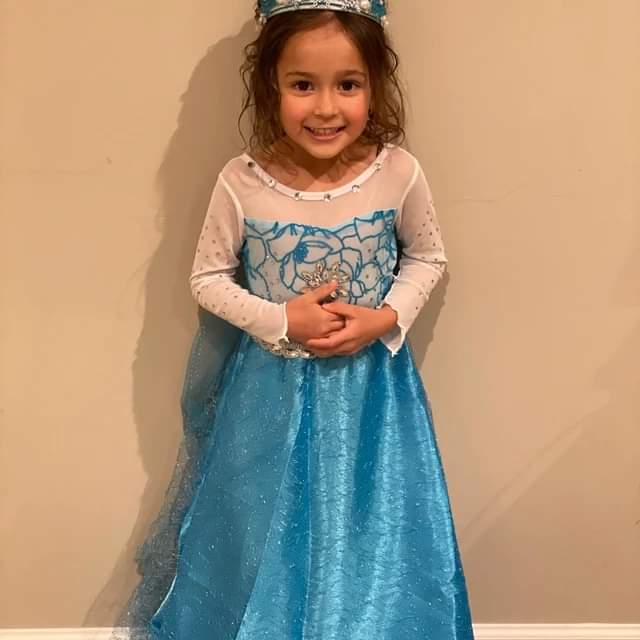 Blue Ice Princess Costume #10020037