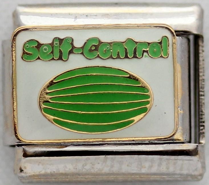 Fruits of the Spirit - Self-Control 9mm Charm-Charmed Jewellery