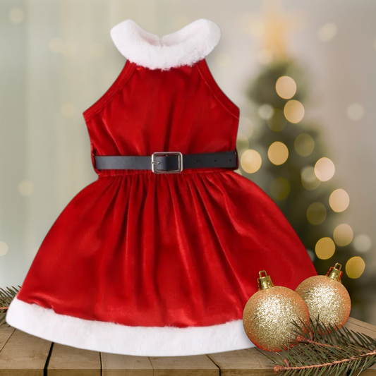 Santa Dress with Belt