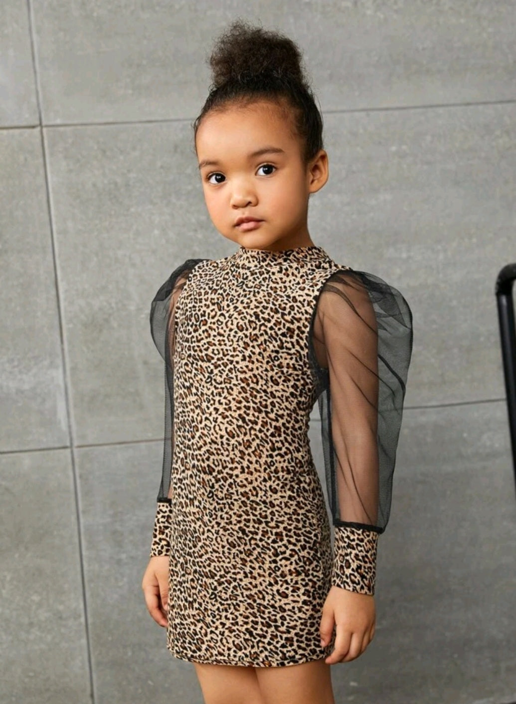 Little Leopard Dress with Puffy Mesh Sleeves