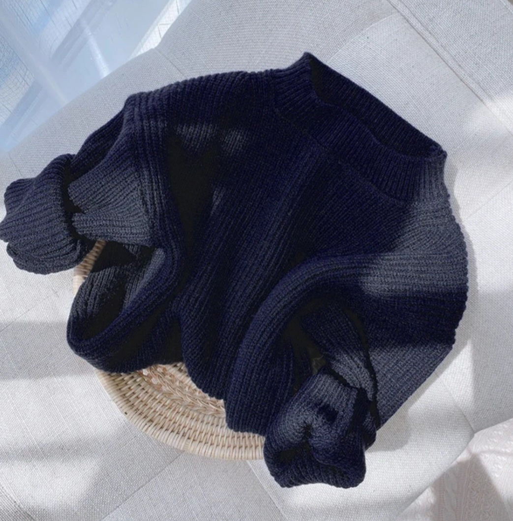 Navy Jumper (Gender Neutral) 10001015