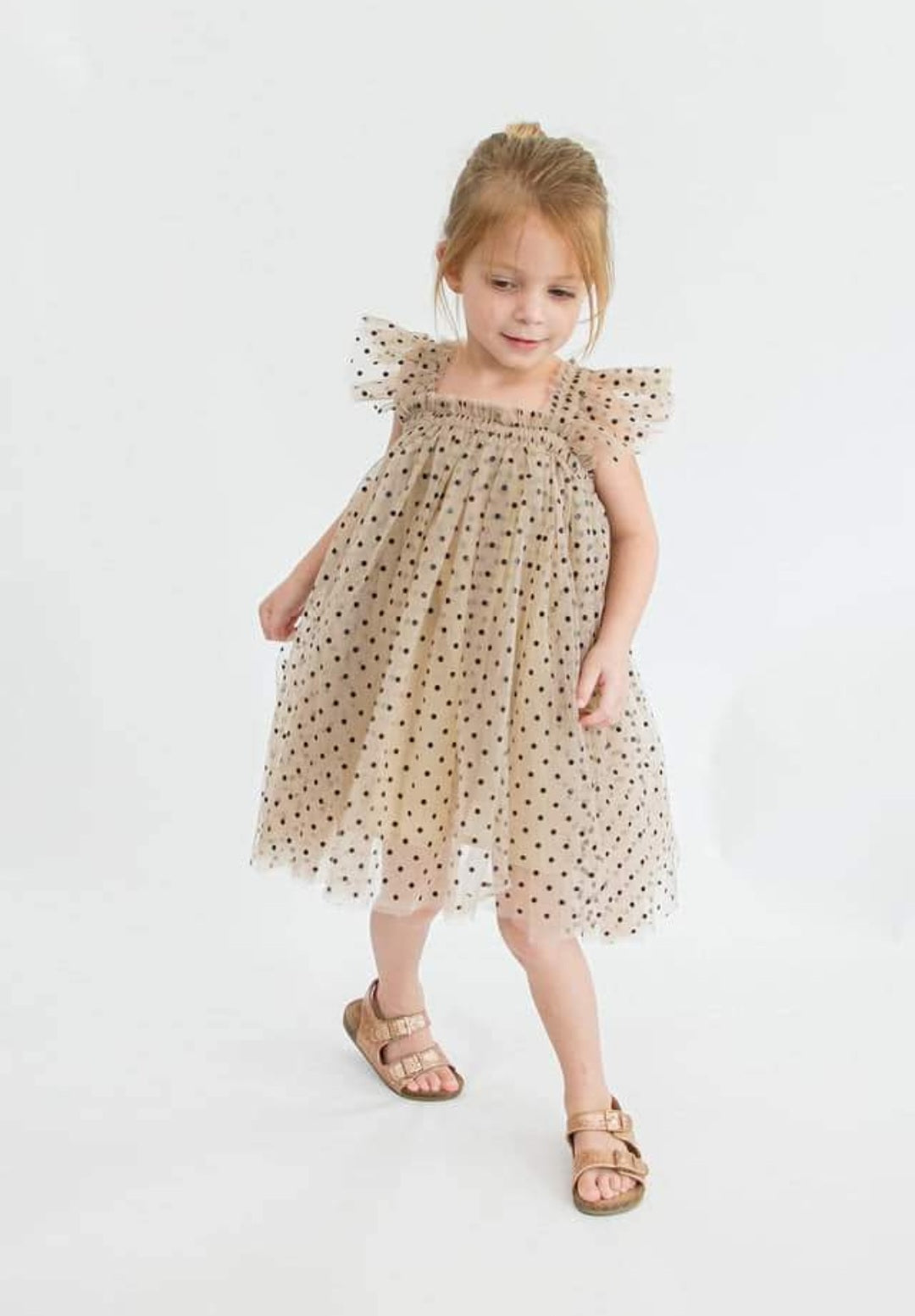 Champagne Polka Lace Butterfly Tulle Dress