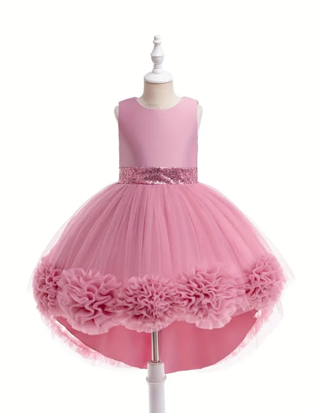 Dusty Pink Special Occasions Ball Cown  1000792