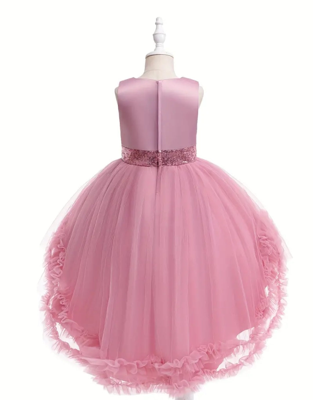 Dusty Pink Special Occasions Ball Cown  1000792