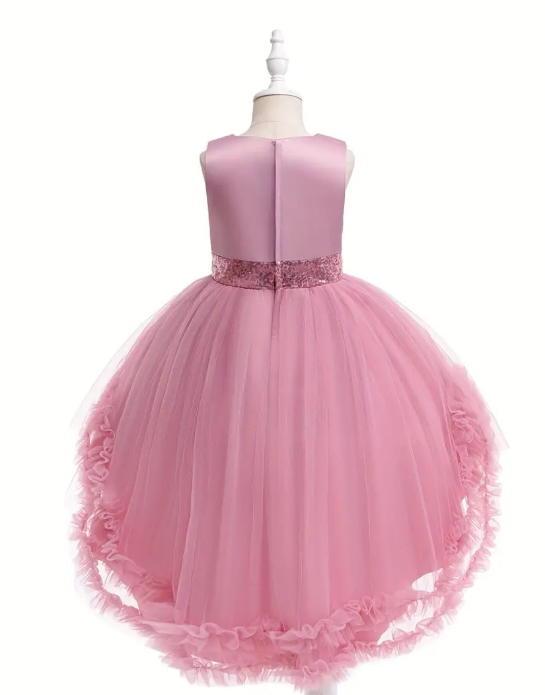 Dusty Pink Special Occasions Ball Cown 