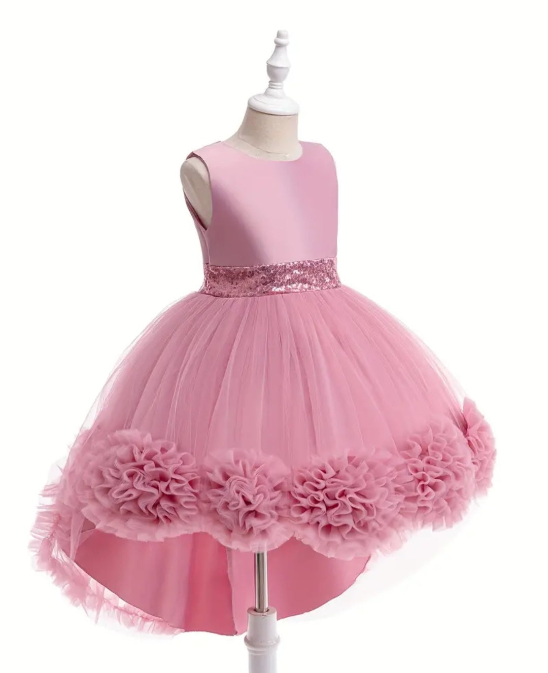 Dusty Pink Special Occasions Ball Cown  1000792