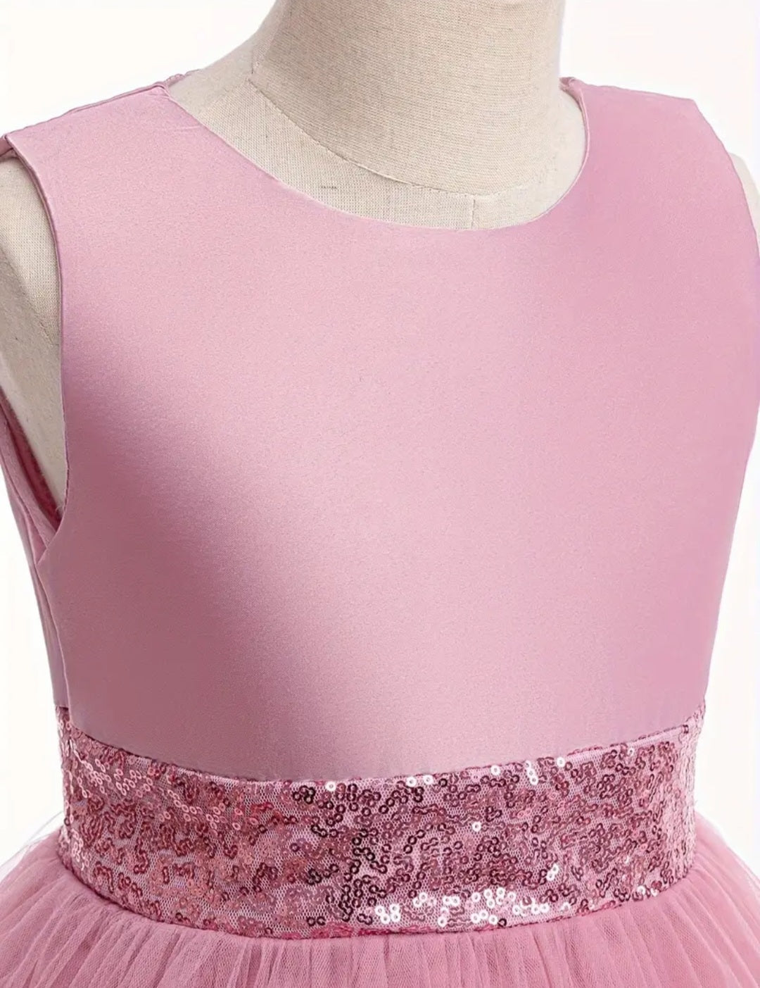 Dusty Pink Special Occasions Ball Cown  1000792