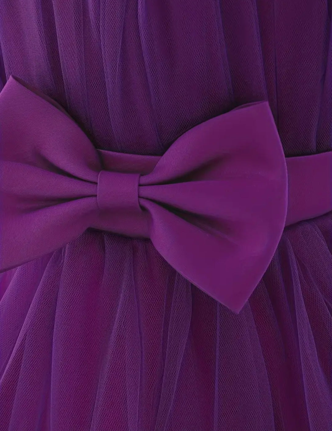 Purple Special Occasions Ball Cown 1000791