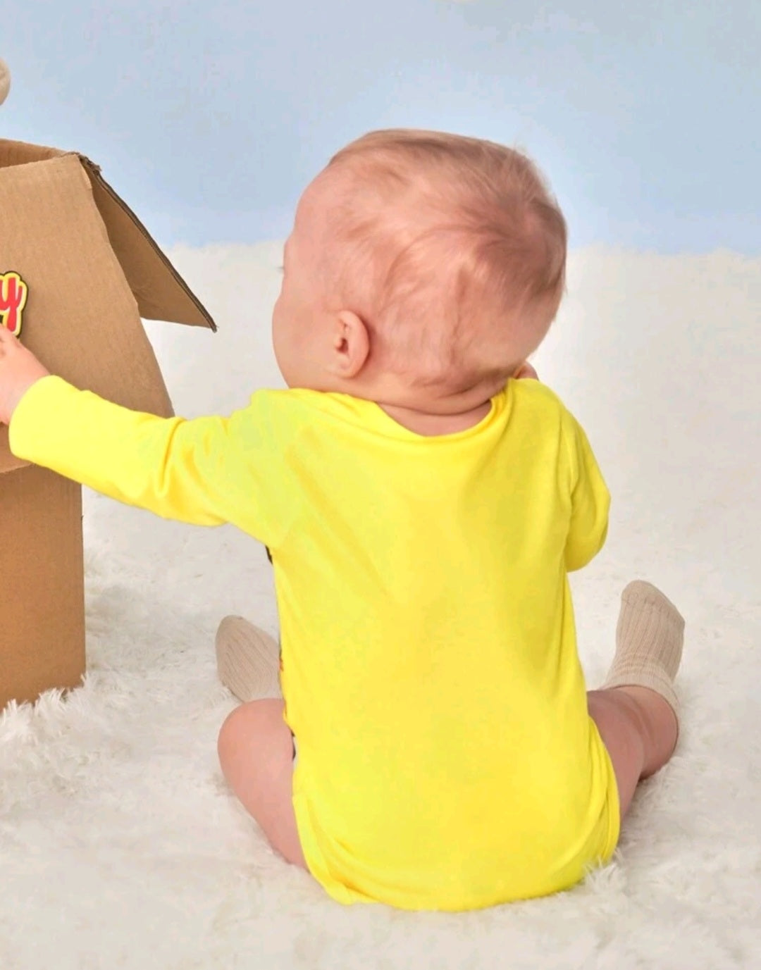 Cowboy Costume 2000189