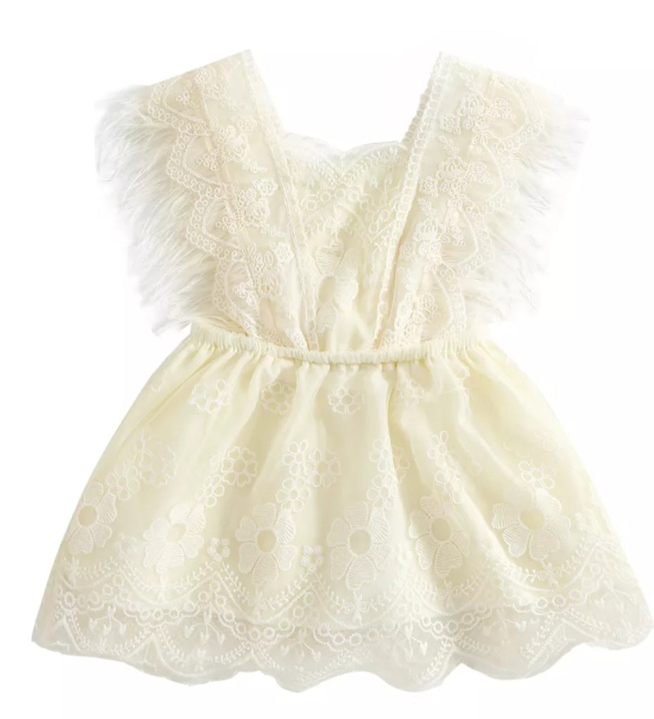 Ivory Lace Dress with Feather Detail 