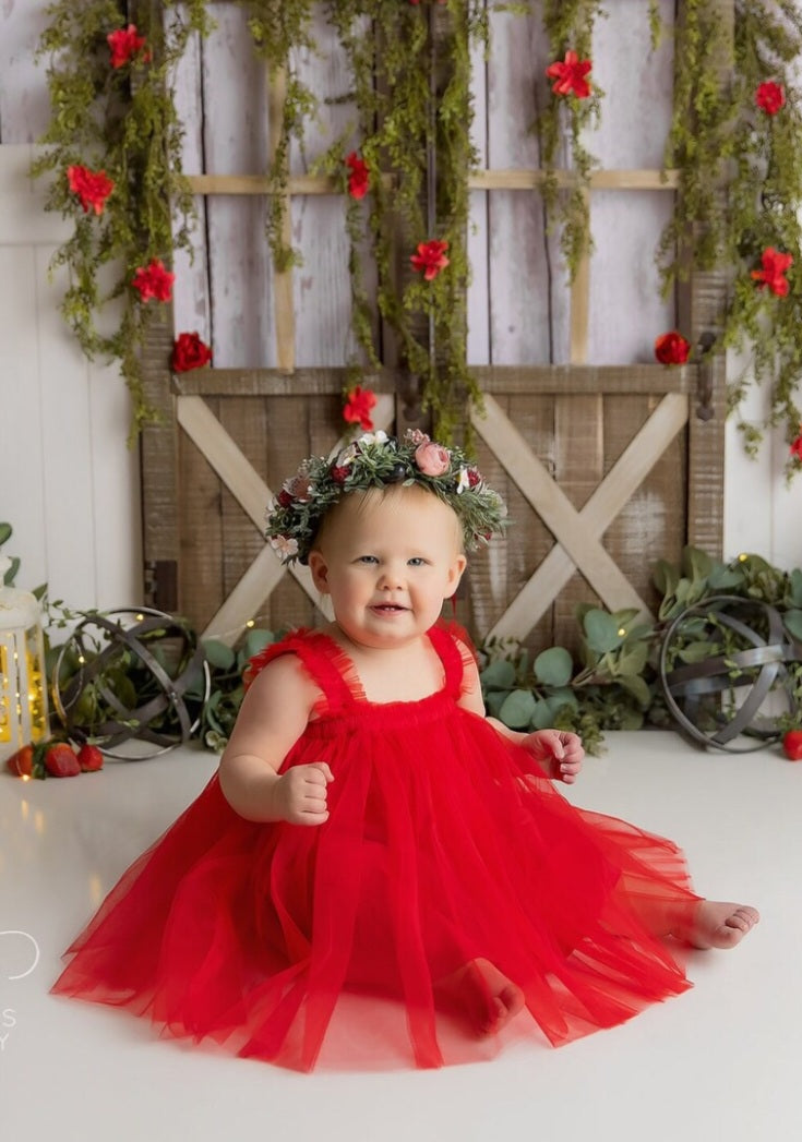 Red Tulle Dress