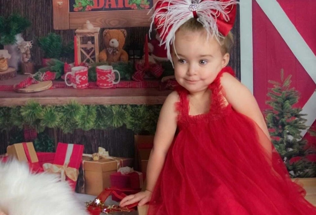 Red Tulle Dress 1000462