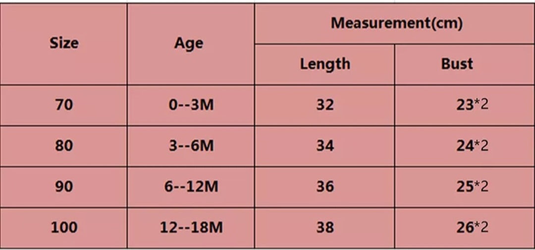 Pink Romper with Romantic Tutu and Feather Detail 1001074