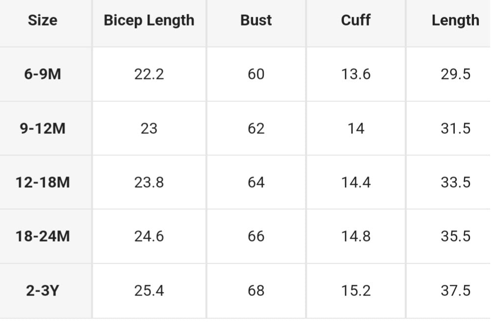 Blue Dinosaur Windbreaker Jacket 1001095