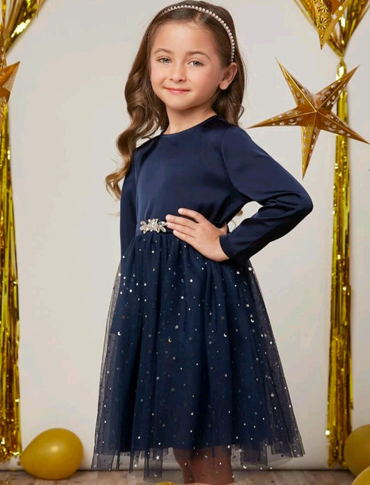 Navy Sparkle Dress with Diamante Detail 