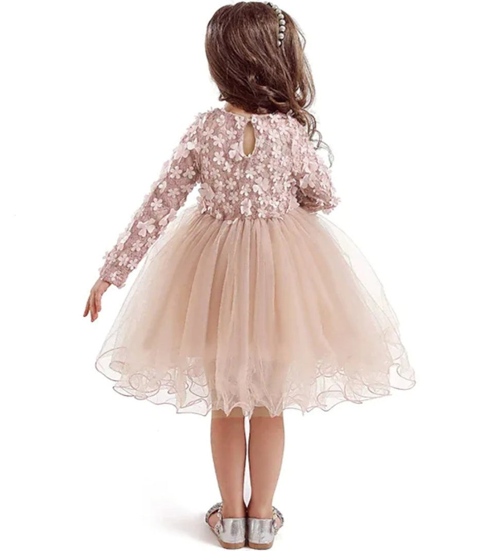 Dusty Pink Long Sleeve Floral Dress 1001111