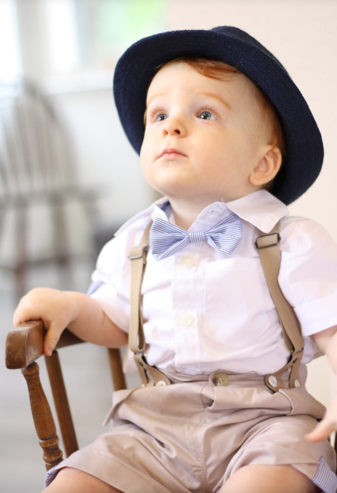 Gentleman Suit, White Shirt,  Bowtie, Chino Shorts And Suspenders