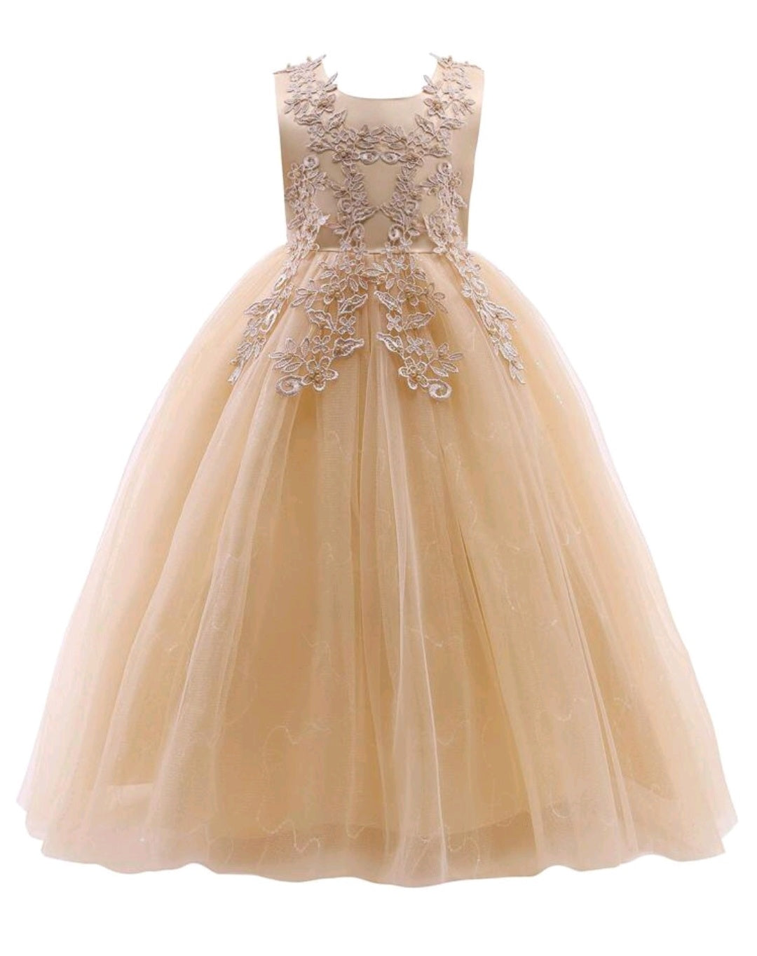 Ivory Dress Embellished Special Occasions Dress 