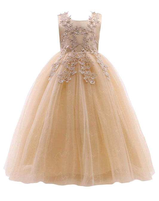 Ivory Dress Embellished Special Occasions Dress 
