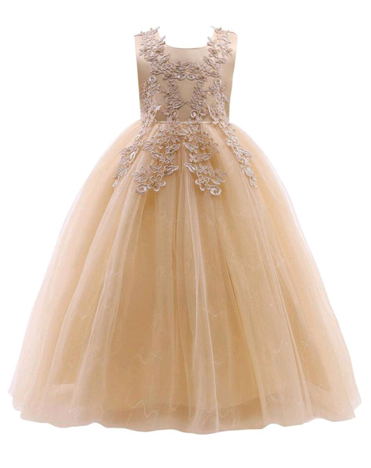 Ivory Dress Embellished Special Occasions Dress 1000774