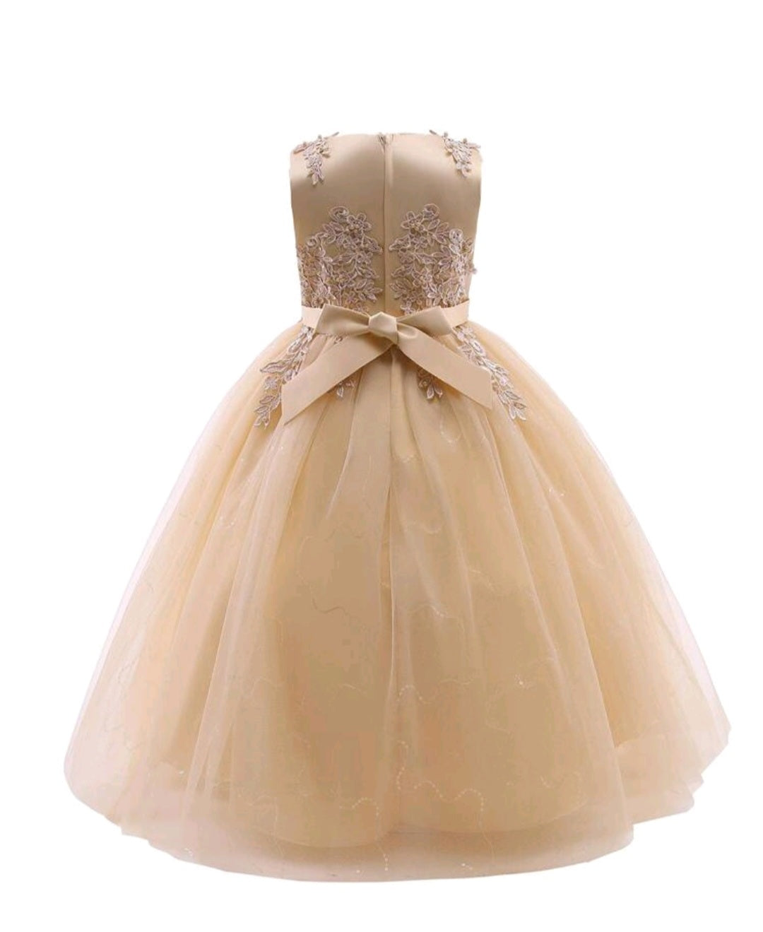 Ivory Dress Embellished Special Occasions Dress 1000774