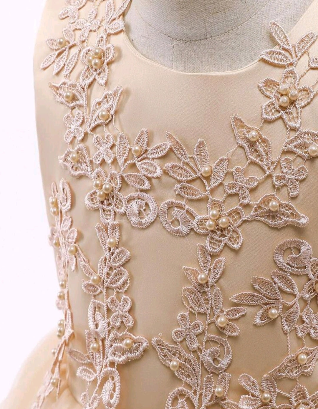 Ivory Dress Embellished Special Occasions Dress 1000774