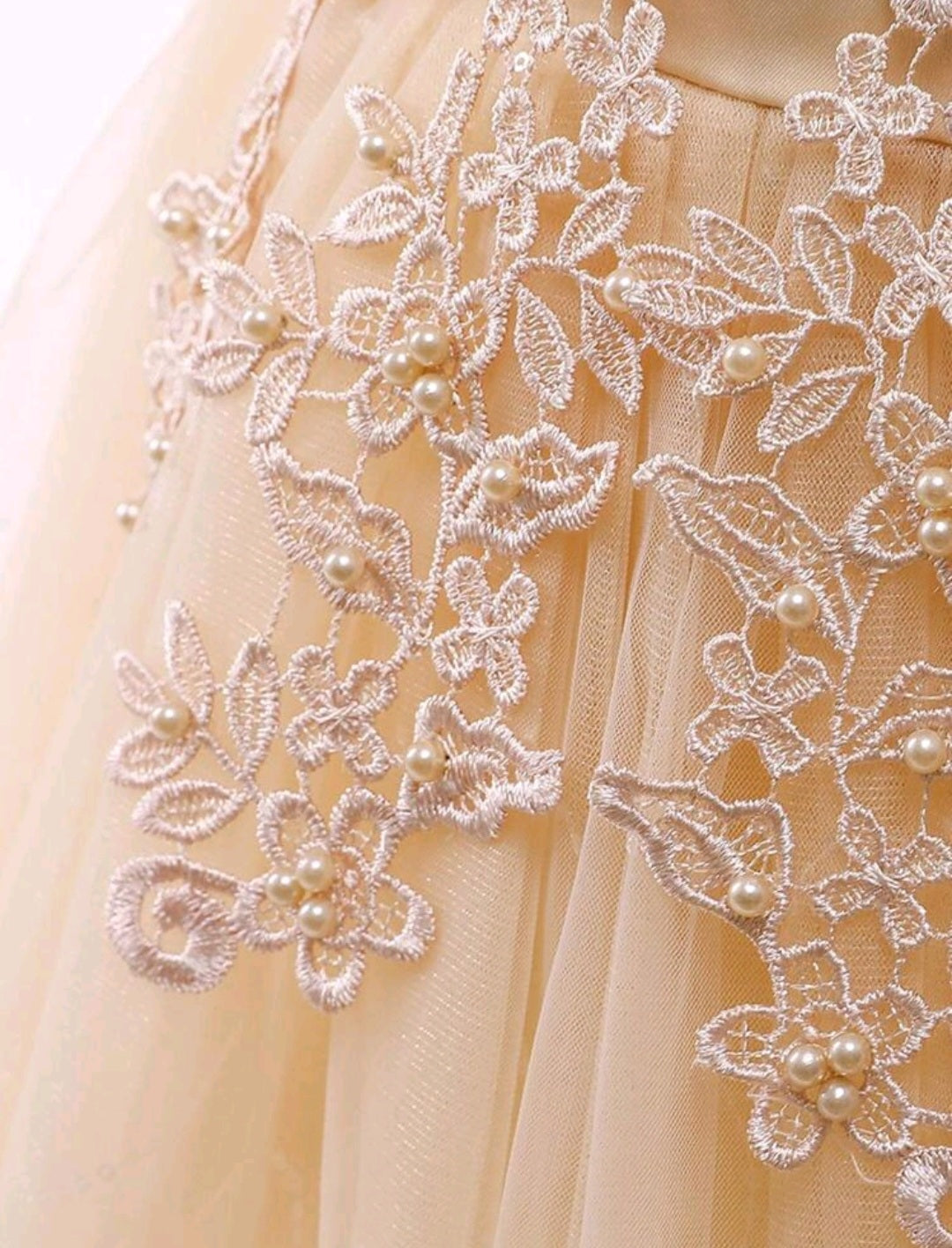 Ivory Dress Embellished Special Occasions Dress 1000774