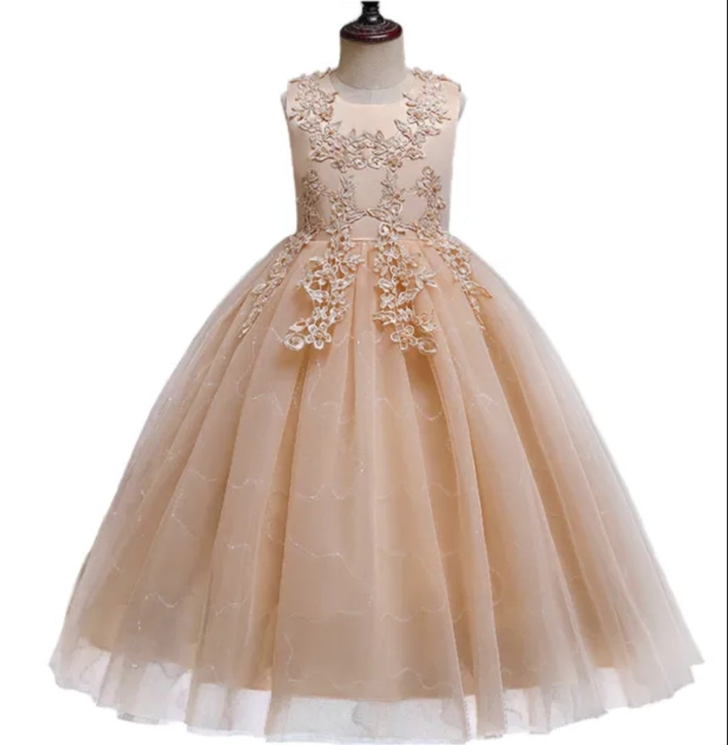 Ivory Dress Embellished Special Occasions Dress 