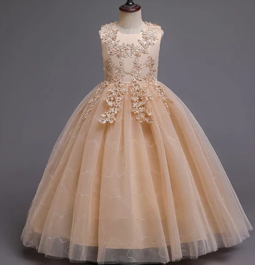 Ivory Dress Embellished Special Occasions Dress 1000774