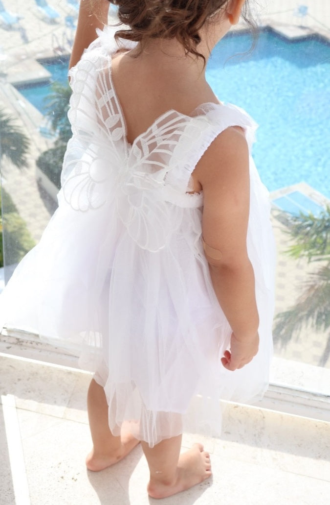 Cream Lace Butterfly Tulle Dress