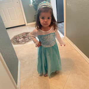 Teal Ice Princess Costume 