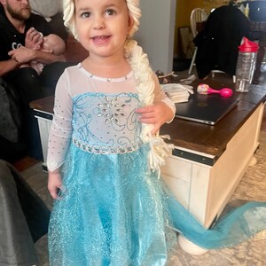 Teal Ice Princess Costume 