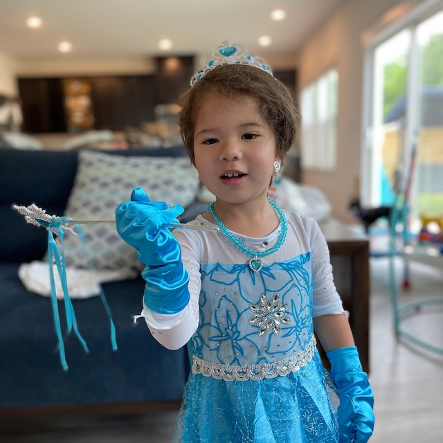 Teal Ice Princess Costume 