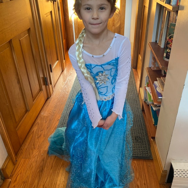 Teal Ice Princess Costume 