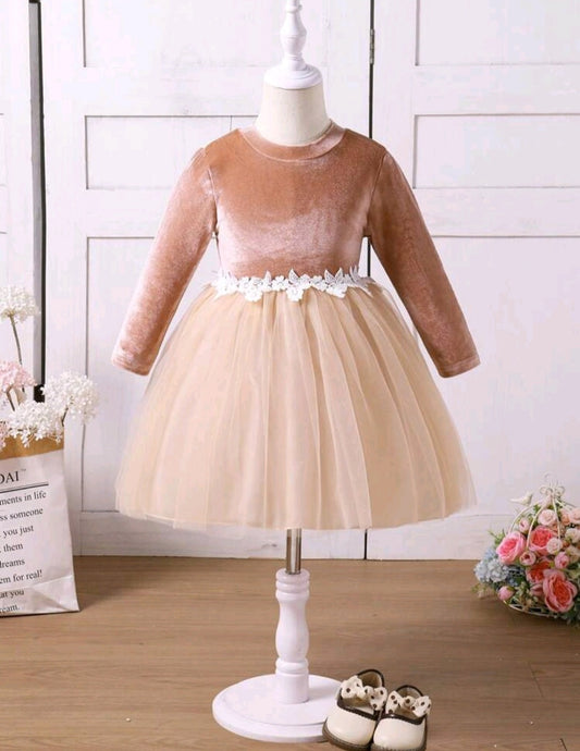 Apricot Velvet Long Sleeve Floral Dress 